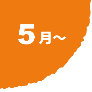 5月