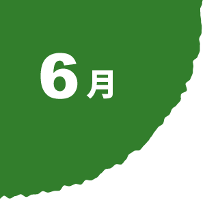 6月